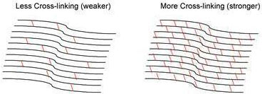 Less cross-linking (weaker) and More cross-linking (stronger)